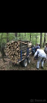 Vyvážačka-vývozka-vlečka - 5