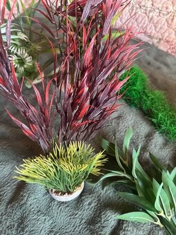 Dekoracia do akvaria & teraria 8€ / ks - 5