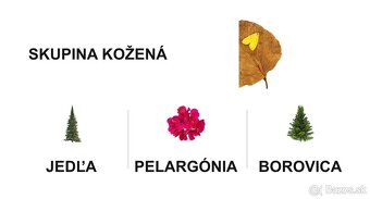 Pánska parfumovaná voda YVES SAINT LAURENT - 5