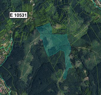 Raková – Spoluvlastnícke podiely na lesoch a lúkach - 5