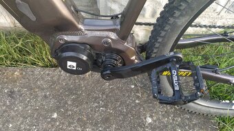 Dema WHIPPET 2024 - 5