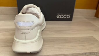 ECCO biom - 5