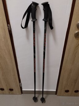 Lyže DYNAMIC + palice - 5