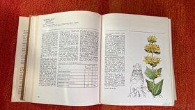 Atlas liečivých rastlín a lesných plodov - rok 1977 - 5