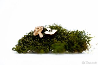 Náušnice Space root - gravírované - 5