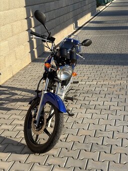 Yamaha YBR 125 - 5