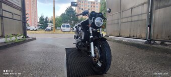 Honda Hornet 900 - 5