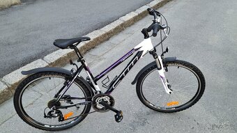 CTM TERRANO - 5