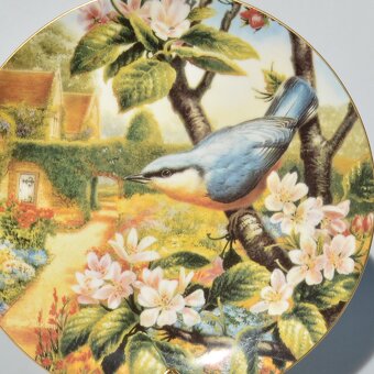 Wedgwood 2 Porcelánové taniere z 1 série - Vtáčiky - 5