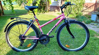 Dámsky horský bicykel Ister - 5