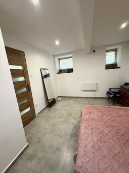 Na prenájom 2 izbový kompletne zariadený byt v centre - 5