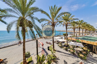 Apartmán 2+kk Torrevieja-Playa Del Cura, Španielsko - 5