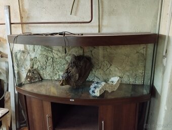 Predám akvarium Juwel vision 450 - 5