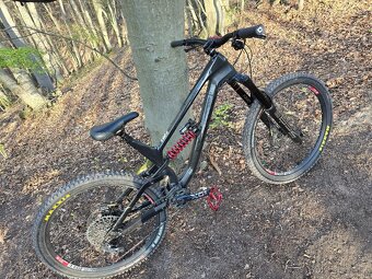 CANYON TORQUE CF 7 - 5