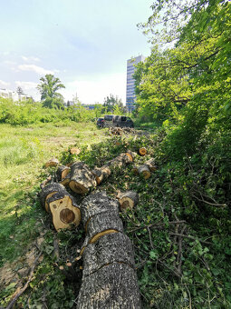 Darujem drevo - 5
