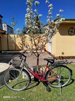 Bicykel - 5