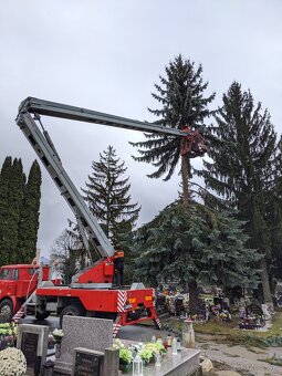 Starostlivosť o zeleň, výrub stromov, pilčícke práce - 5