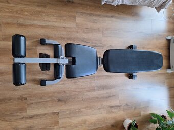 Posilnovacia lavica Impulse Fitness IF FID - 5