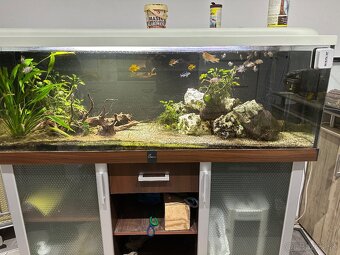Akvarium 150x50x50 - 5