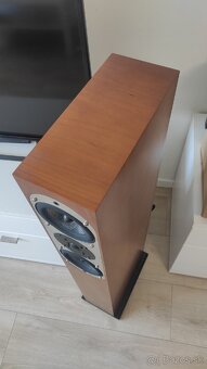 ASW Genius 300 Reference - 5