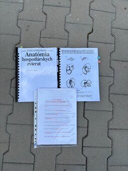 UVLF študijný materiál pre 1.ročník VVL/HP - 5