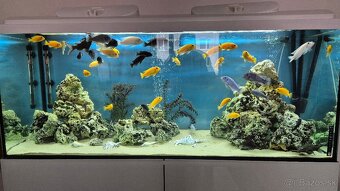 450l akvárium - 5