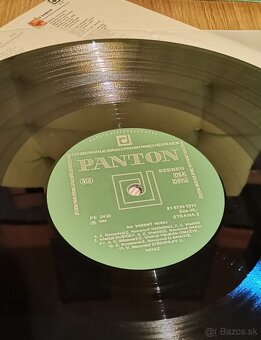 Nerez-Na vařený nudli - 5