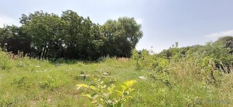 Na predaj pozemok Košíce - Krásna - 5