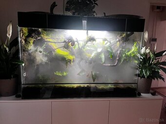 Terarium - 5