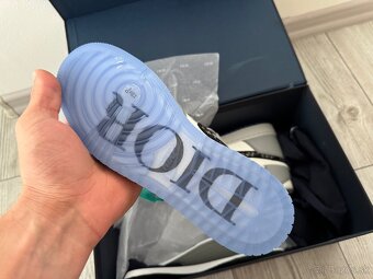 Air Jordan 1 High Dior x - 5