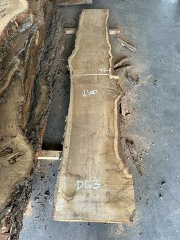 dubové fošne, dub letný, dub - 5