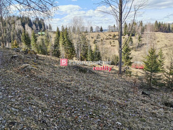 Pozemok v nádhernej prírode – Lom nad Rimavicou, Chlipniačky - 5