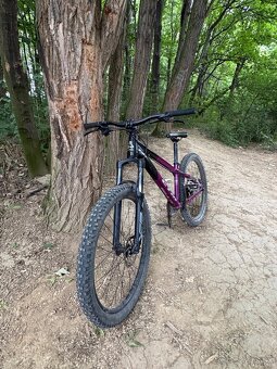 Ctm Raptor 1.0 2022 - 5