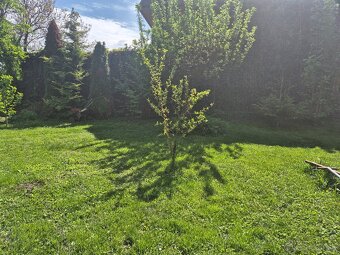 Stavebný pozemok na predaj v Šuranoch. - 5