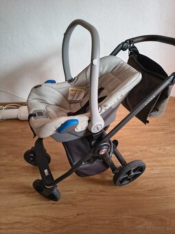 Roan coss - 5