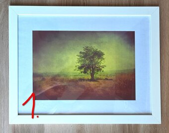 Vitrinu a obrazy TOPOĽČIAN - 5