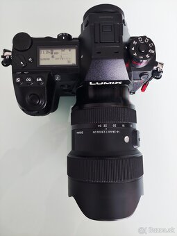 Panasonic Lumix S1R - 5