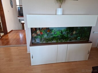 Akvarium - 5