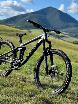 Trek Remedy custom - 5