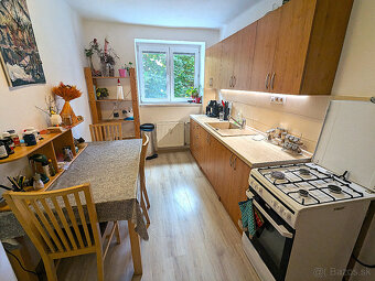 rekonštruovaný 2 i. TEHLOVÝ byt, blízko Centra, Jilemnického - 5