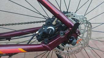 Scott Aspect L/29" - 5