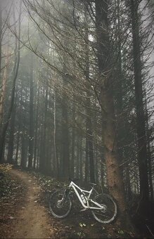 Specialized Stumpjumper Comp Carbon S5 (XL) - 5