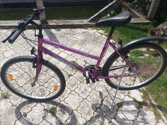 Dámsky bicykel - 5