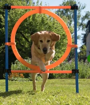 Agility prekážky - 5