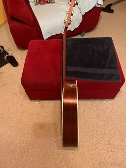 Gitara Takamine GD20 - 5