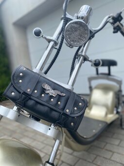 Electric Harley - 5