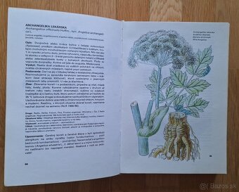 Maly atlas liecivych rastlin - 5