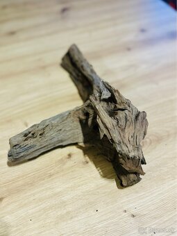 Koren do akvaria - 5