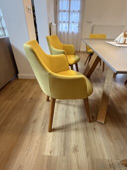 Stoličky masív dub 6ks - 5