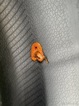 Pneumatiky letné Continental 215/55 R17 94V EcoContact - 5